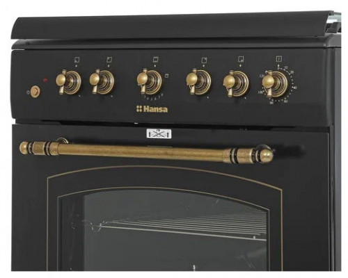 Кухонная плита HANSA FCGA62109 черный