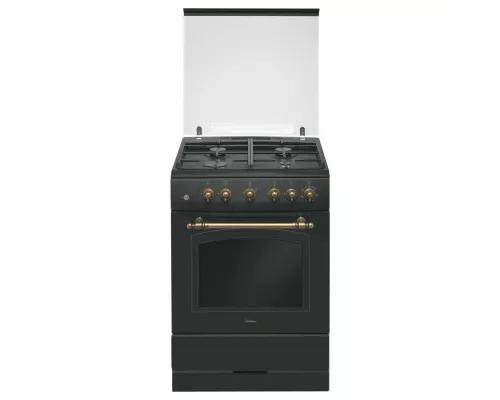 Кухонная плита HANSA FCGA62109 черный