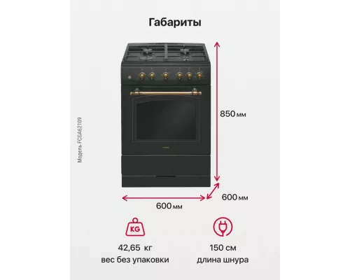 Кухонная плита HANSA FCGA62109 черный