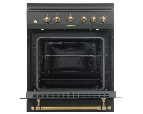 Кухонная плита HANSA FCGA62109 черный