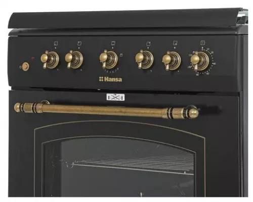 Кухонная плита HANSA FCGA62109 черный