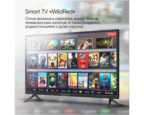 Телевизор TopDevice TDTV32BS01H_BK