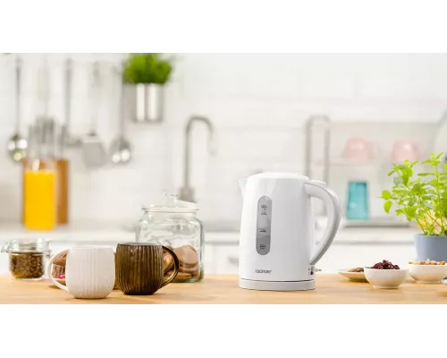 Чайник ZELMER ZCK7616S белый/серый