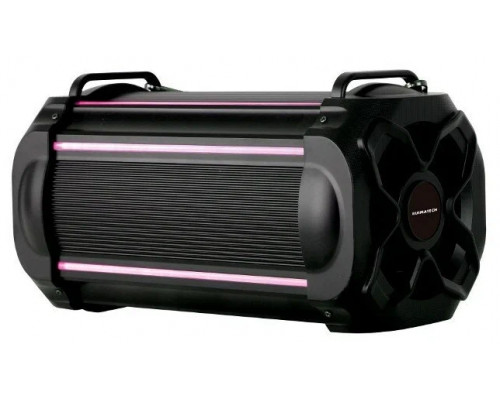 Портативная колонка RUIMATECH VA-7804 Портативная колонка RUIMATECH VA-7804