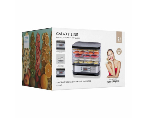 Сушилка для овощей и фруктов GALAXY LINE GL2640 серый металл Сушилка для овощей и фруктов GALAXY LINE GL2640 серый металл