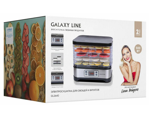 Сушилка для овощей и фруктов GALAXY LINE GL2640 серый металл Сушилка для овощей и фруктов GALAXY LINE GL2640 серый металл