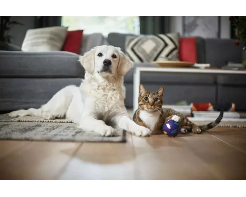 Пылесос Philips FC9728/01