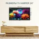Телевизор HARPER 24R490TS