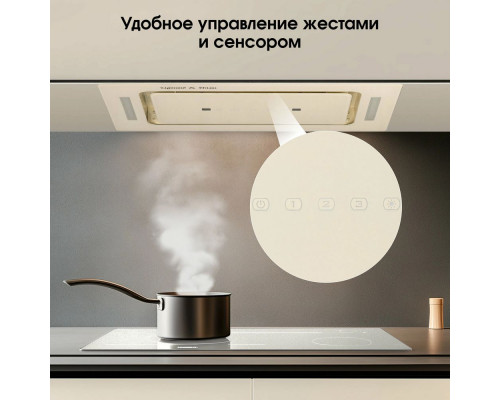 Вытяжка полновстраиваемая Zigmund & Shtain K 014.5 X бежевый Вытяжка полновстраиваемая Zigmund & Shtain K 014.5 X бежевый