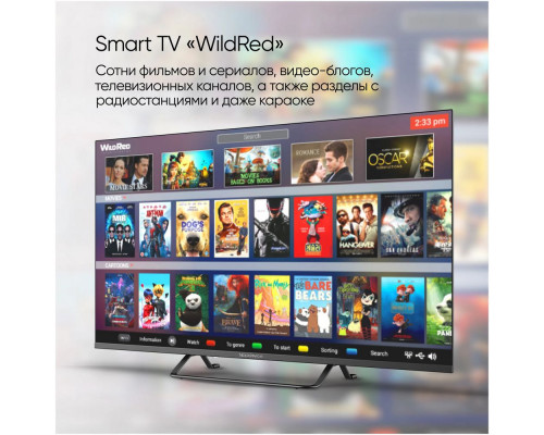 Телевизор TopDevice TDTV32BS04H_BK черный