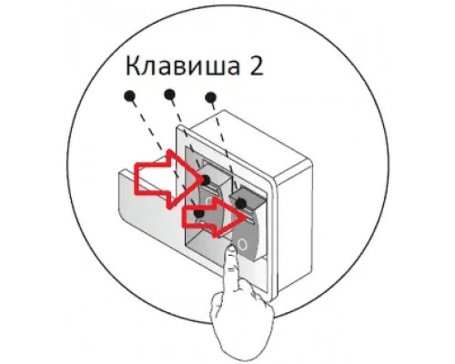 Вытяжка встраиваемо-выдвижная LEX HONVER G 2M 600 WHITE Вытяжка встраиваемо-выдвижная LEX HONVER G 2M 600 WHITE
