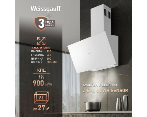 Вытяжка каминная наклонная Weissgauff Zibal 60 WH Sensor белый Вытяжка каминная наклонная Weissgauff Zibal 60 WH Sensor белый