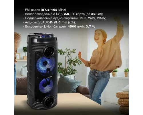 Портативная колонка HYUNDAI H-MC170 черный