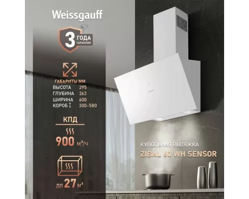 Вытяжка каминная наклонная Weissgauff Zibal 60 WH Sensor белый