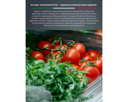 Холодильник ARDO RTH791541EX2 стальной