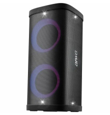 Портативная колонка AIWA CAS-618