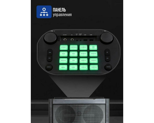 Портативная колонка AIWA CAS-2022