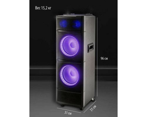 Портативная колонка AIWA CAS-2022