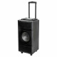 Портативная колонка AIWA CAS-2021