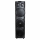 Портативная колонка AIWA CAS-1031