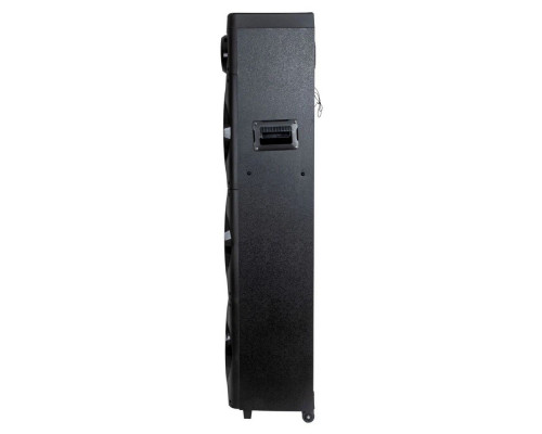 Портативная колонка AIWA CAS-1031 Портативная колонка AIWA CAS-1031