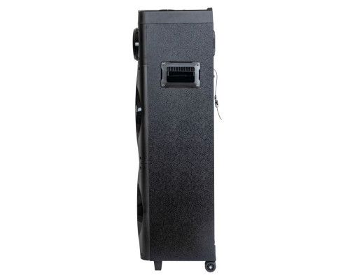 Портативная колонка AIWA CAS-1001 Портативная колонка AIWA CAS-1001
