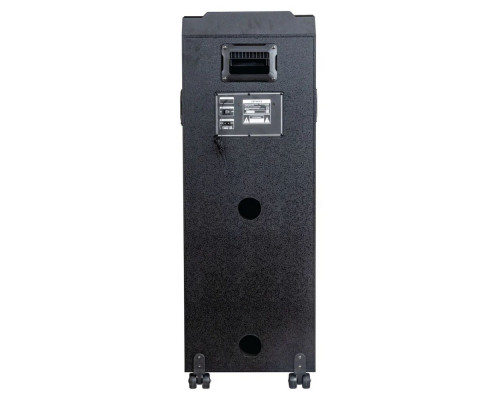 Портативная колонка AIWA CAS-1001 Портативная колонка AIWA CAS-1001
