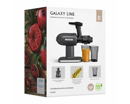 Соковыжималка GALAXY GL 0813