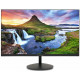 Монитор 23.8" Acer SA242YHbi VA 1920x1080, 100 Гц, 4 мс, 16:9, 250 кд/м2, 1хHDMI, 1хVGA, черный (UM.QS2EE.H02)