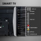 Телевизор HOLLEBERG HGTV-LED43FHDS102T2