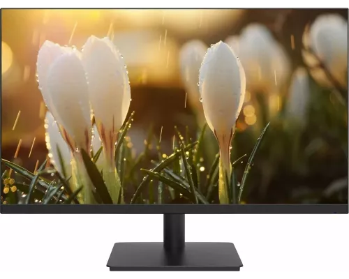 Монитор 23.8" Dahua DHI-LM24-A201A IPS 1920x1080, 100 Гц, 5 мс, 16:9, 250 кд/м², 1xHDMI, 1xDP, 1xVGA, черный