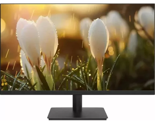 Монитор 23.8" Dahua DHI-LM24-A201H IPS 1920x1080, 100 Гц, 5 мс, 16:9, 250 кд/м², 1xHDMI, встроенные динамики, черный