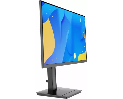 Монитор 23.8" NPC MF2418 IPS 1920x1080, 100 Гц, 4 мс, 16:9, 300 кд/м², 1000:1, 1xHDMI, 1xDP, 1xVGA, 1xDVI, черный