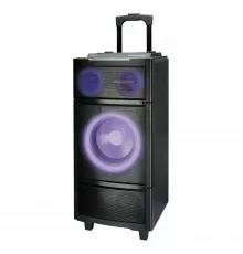 Портативная колонка AIWA CAS-2021