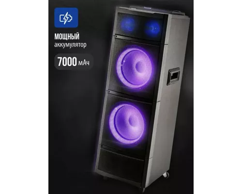 Портативная колонка AIWA CAS-2022