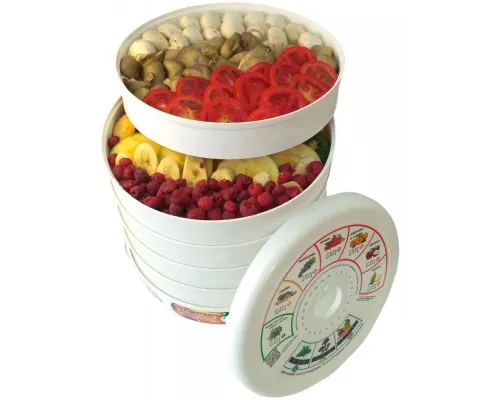 Сушилка для овощей и фруктов RENOVA DVN31-500/5