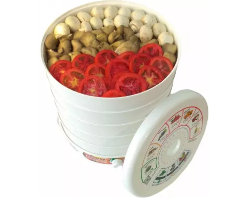 Сушилка для овощей и фруктов RENOVA DVN31-500/5