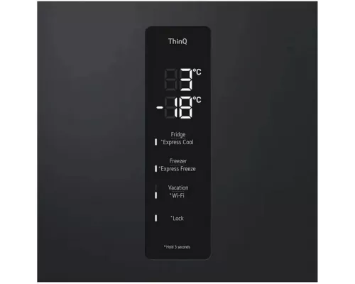 Холодильник LG GC-B509FTZW