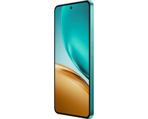 Смартфон Realme 14T 5G 12/256Gb зеленый Смартфон Realme 14T 5G 12/256Gb зеленый