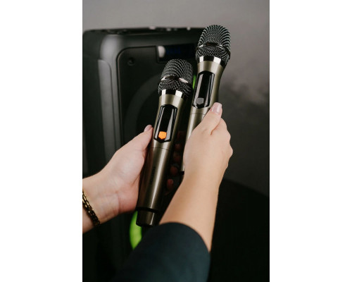 Портативная колонка HOLLEBERG HX-510 Портативная колонка HOLLEBERG HX-510