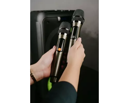 Портативная колонка HOLLEBERG HX-510