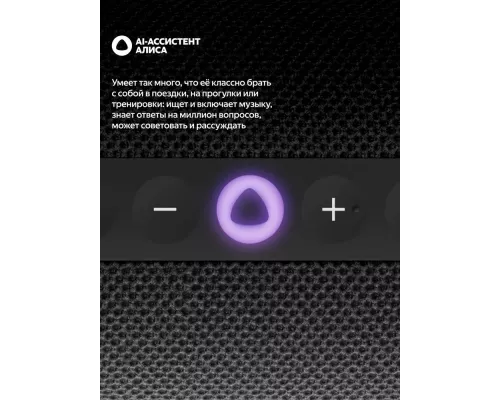 Умная колонка Яндекс Станция Стрит YNDX-00030BLK чёрный