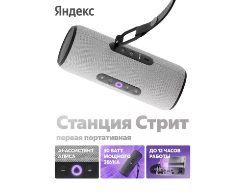 Умная колонка Яндекс Станция Стрит YNDX-00030GR серый