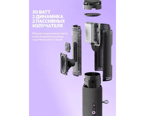 Умная колонка Яндекс Станция Стрит YNDX-00030GR серый