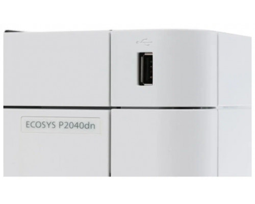 Принтер лазерный KYOCERA Ecosys P2040DN
