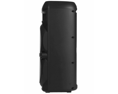 Портативная колонка AIWA CAS-656