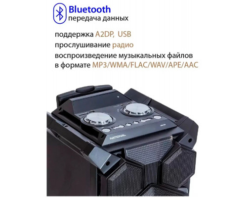 Портативная колонка NATIONAL NSM-V450