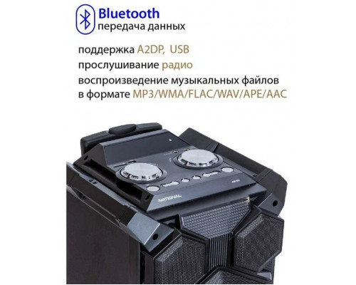 Портативная колонка NATIONAL NSM-V450