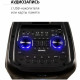 Портативная колонка AIWA CAS-500