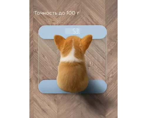 Напольные весы REDMOND SB 1811 голубой